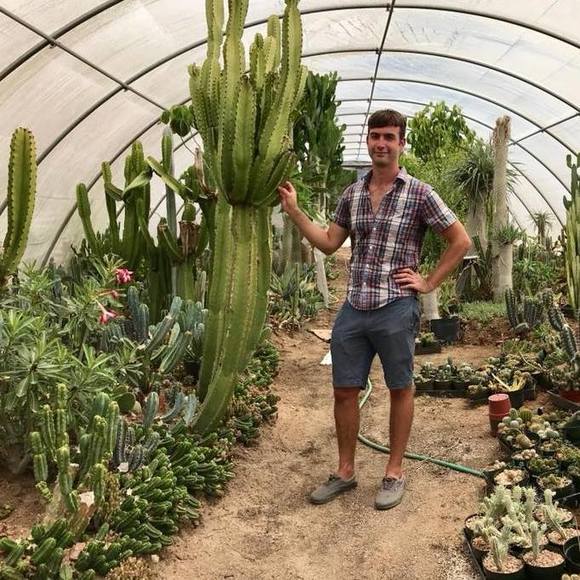 Meet your Posher, Rocky - Picture 1 of 1